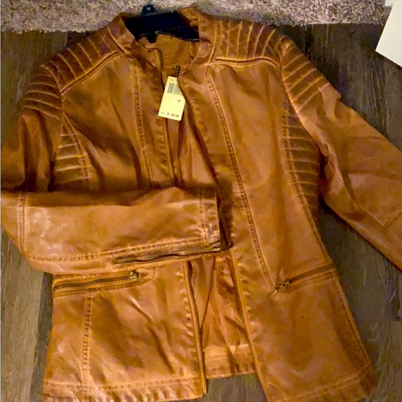 Maxx Edition jacket - Picture 1 of 3